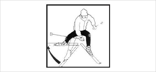 Phantom foot mechanism of ACL injury 이미지